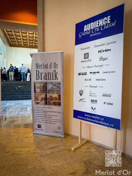 Audienve-Grand-Cru-Classe-Bordeaux-00001