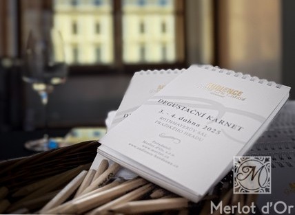 Audienve-Grand-Cru-Classe-Bordeaux-00002