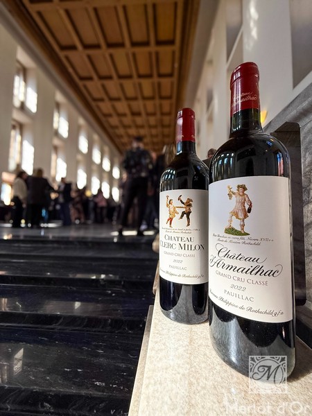 Audienve-Grand-Cru-Classe-Bordeaux-00010