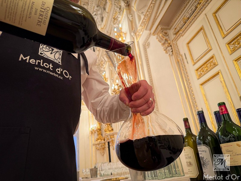 Audienve-Grand-Cru-Classe-Bordeaux-00011