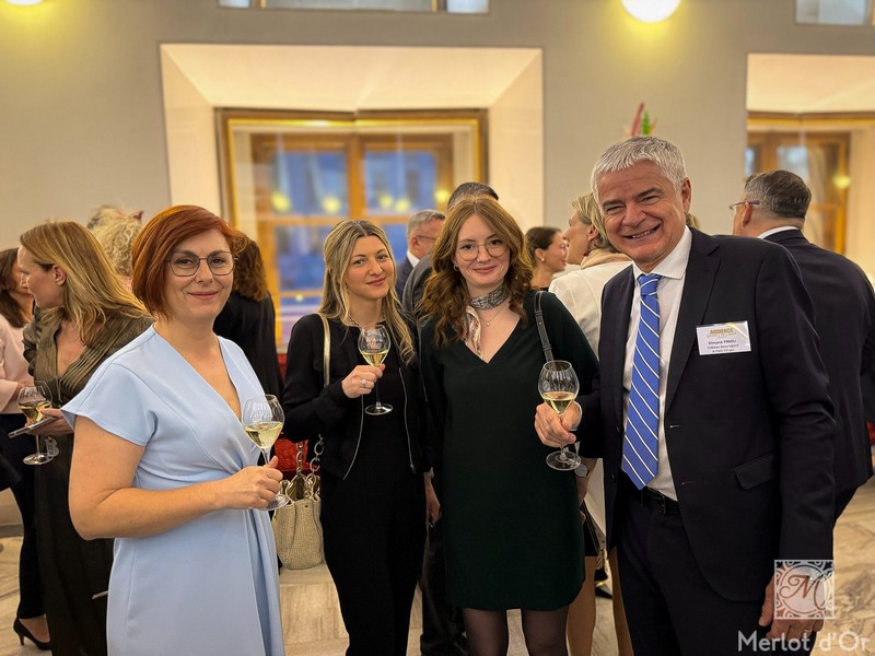 Audienve-Grand-Cru-Classe-Bordeaux-00018