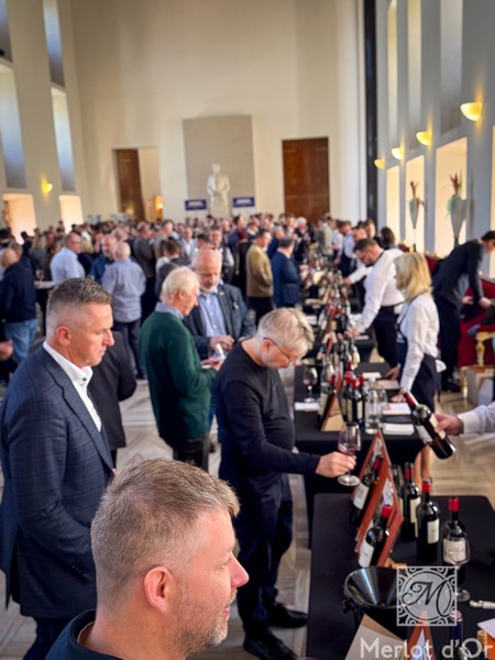 Audienve-Grand-Cru-Classe-Bordeaux-00020