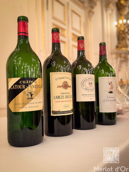 Audienve-Grand-Cru-Classe-Bordeaux-00026