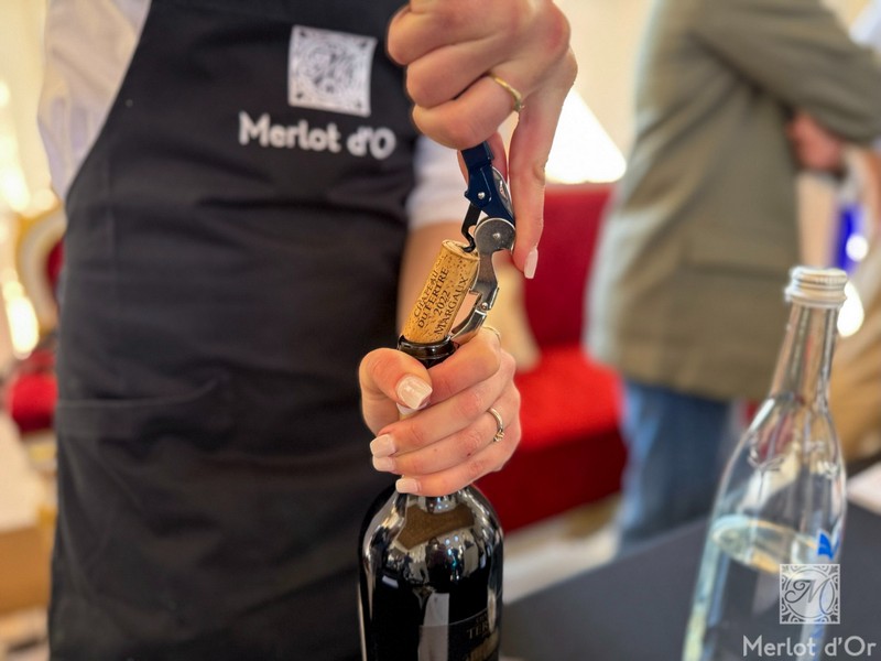 Audienve-Grand-Cru-Classe-Bordeaux-00027