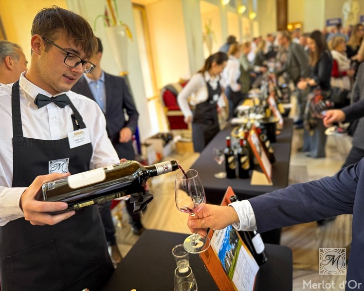 Audienve-Grand-Cru-Classe-Bordeaux-00030