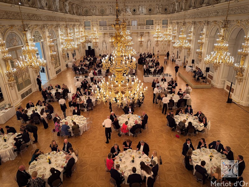 Audienve-Grand-Cru-Classe-Bordeaux-00036